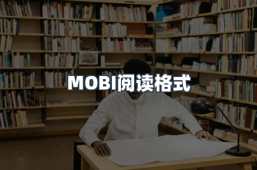 外文电子书系列